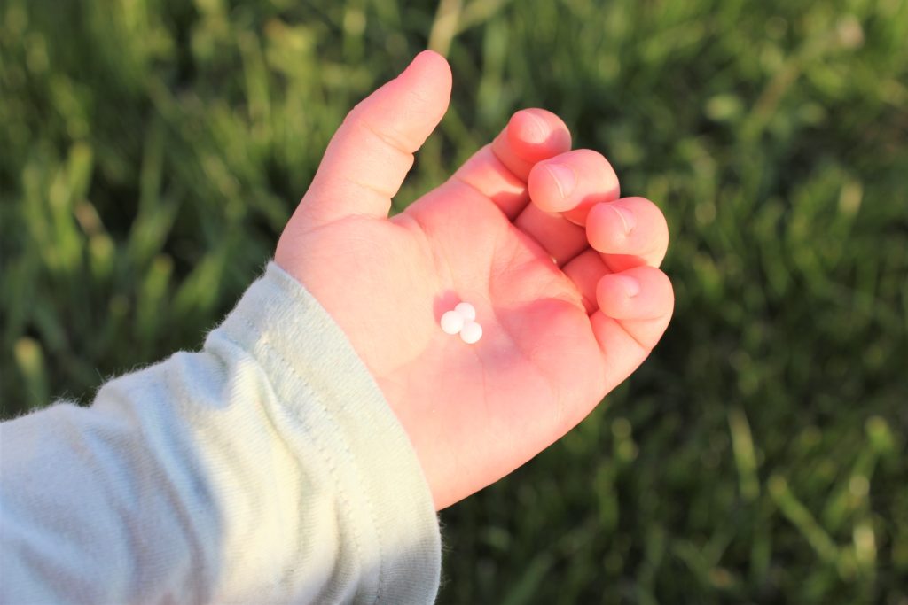 hand with granule of homeopathy arnica