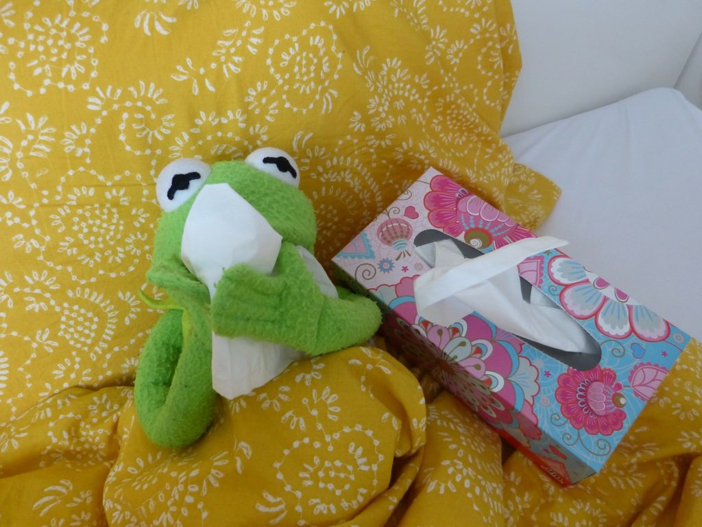 Kermit se mouche dans un lit. Trucs dégoûtants qu'une maman va faire: Kleenex, morve. 